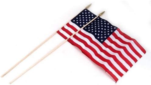 Flag Zone American Hand Flag 2 Pack 12 x18