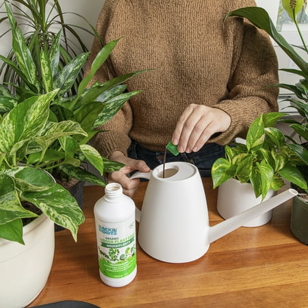Back to the Roots Organic Premium Blend Indoor Plant Food, 16 oz Bottle