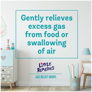 Little Remedies Gas Relief Drops *Exp 01/2027*