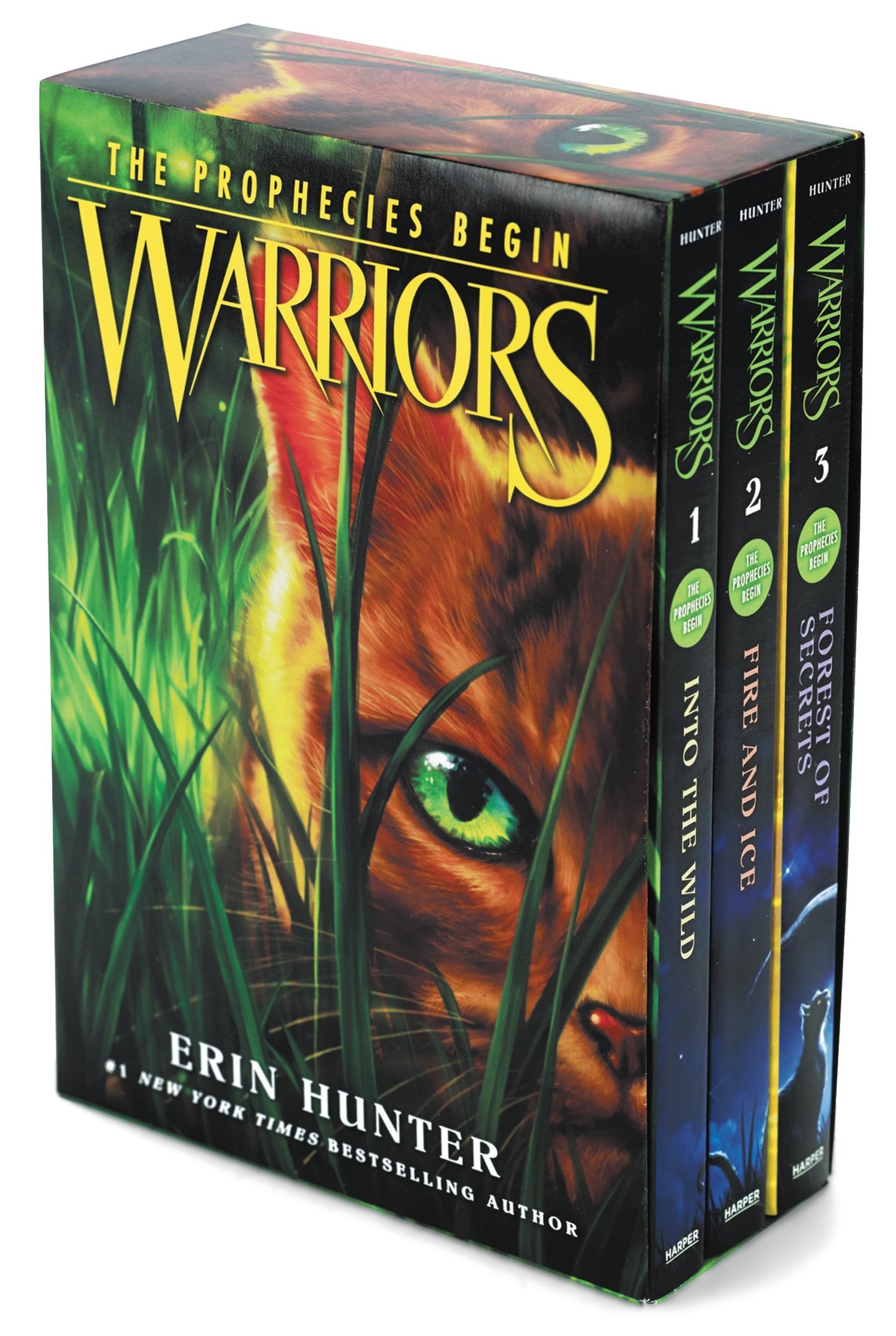 Warriors Box Set: Volumes 1 to 3: (Warriors: The Prophecies Begin)