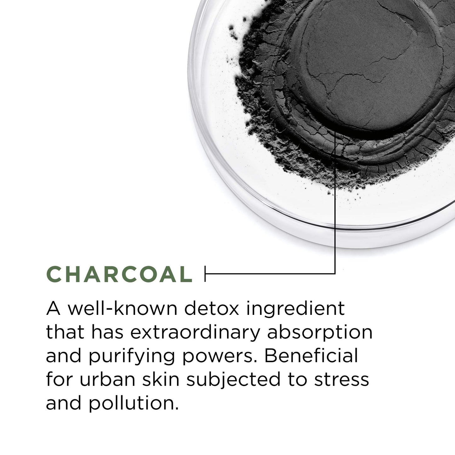 L'Oréal Paris Pure Clay Charcoal Face Mask 1.7 oz