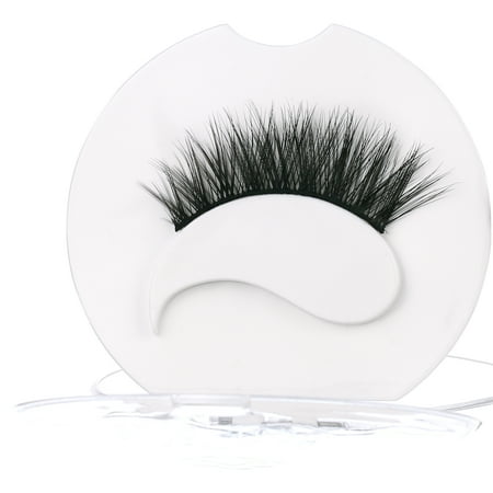 Eye Lashes Treepie