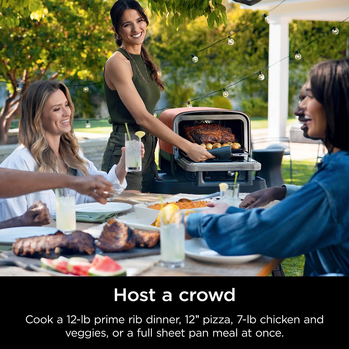 Ninja Woodfire Outdoor Pizza Oven