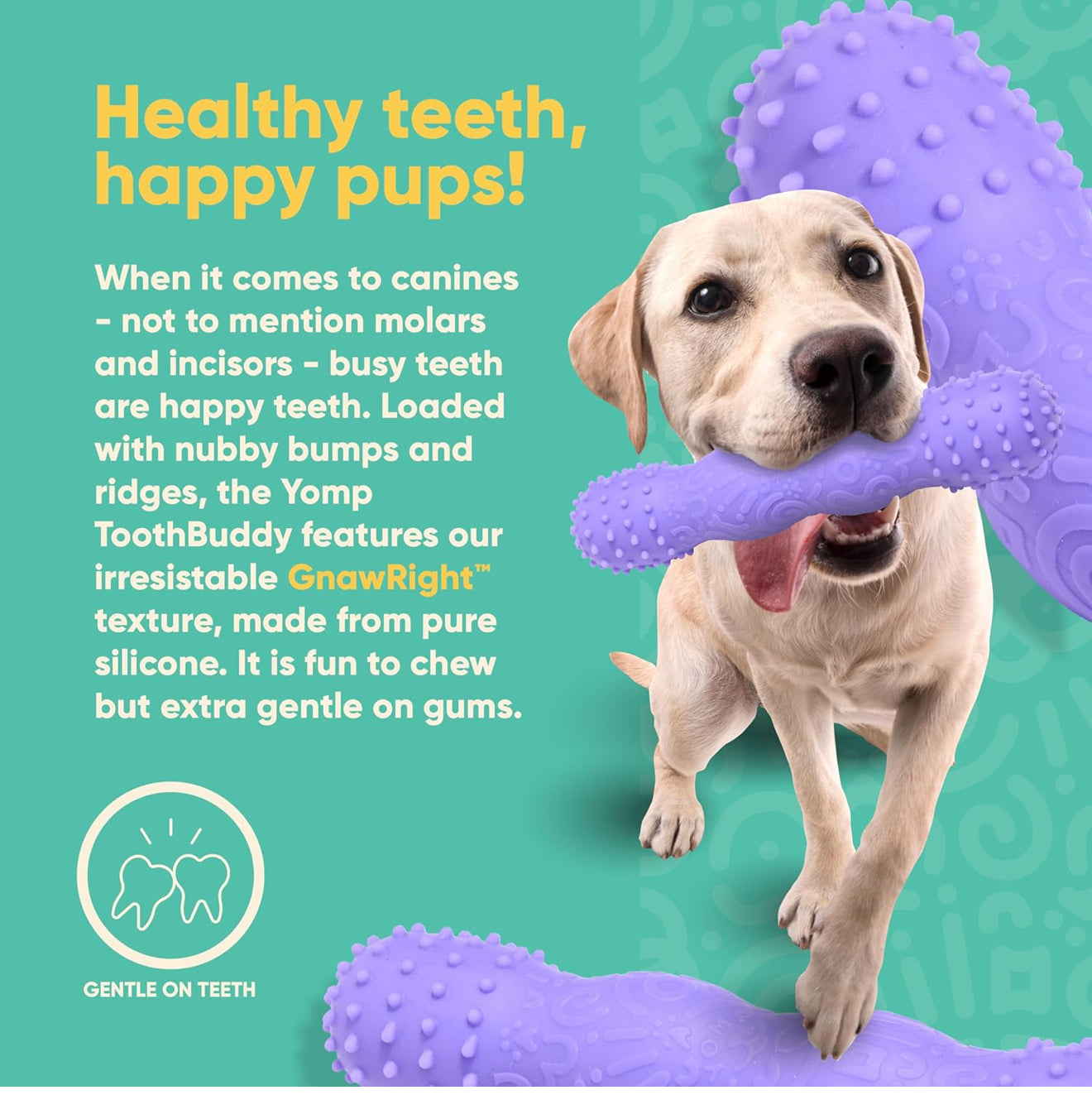 Yomp ToothBuddy Dog Toy – Gentle Silicone Teether for Soft to Medium Chewers