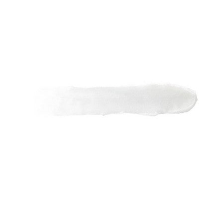Burt's Bees Kokum Butter Lip Balm - 2ct