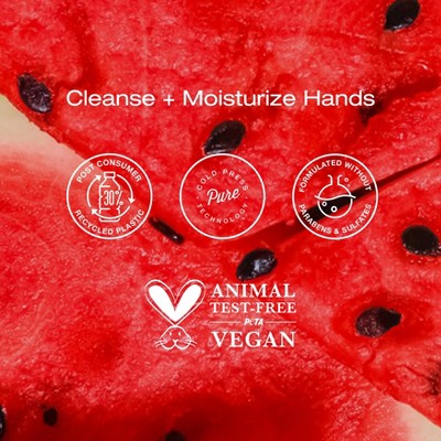 Raw Sugar Moisture Loving Hand Wash Refill Bottle - Watermelon + Fresh Mint - 34 fl oz