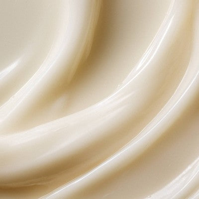 Kristin Ess Extra Gentle Conditioner for Sensitive Skin + Scalp, Moisturizing + Hydrating, Vegan - 10 fl oz *Damaged Bottle*