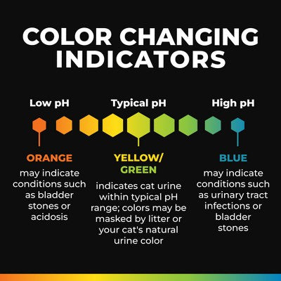 Arm & Hammer Health IQ Cat Litter Additive - 6.5oz