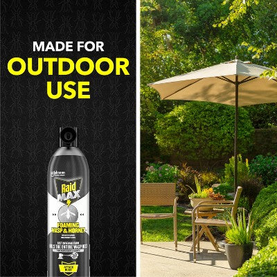 Raid Max Foaming Wasp and Hornet Bug Spray - 16.5oz