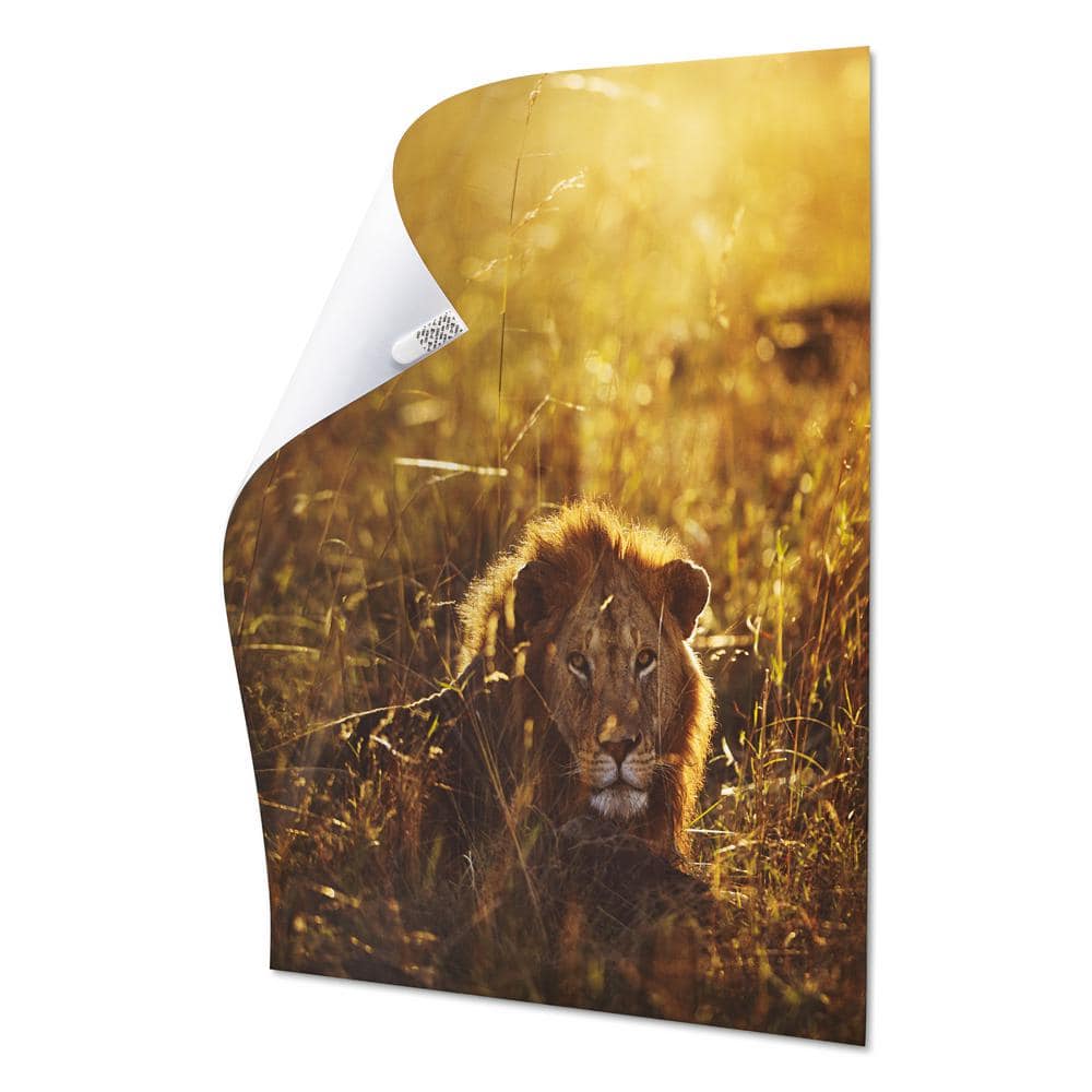 Small White Poster Hanging Strips (12 Strips)