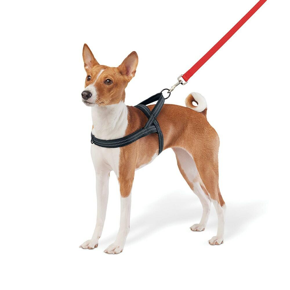 No Pull Comfort Dog Harness - S