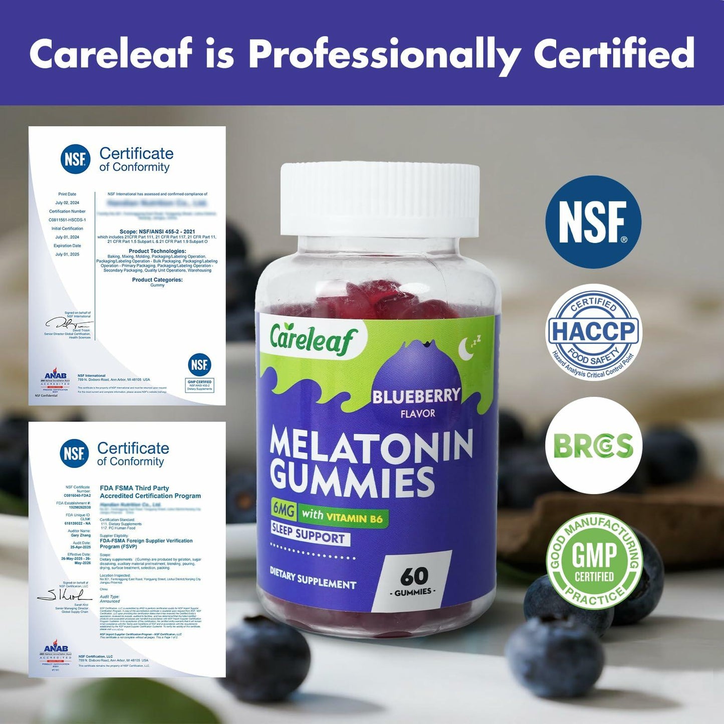 careleaf Melatonin Gummies - Blueberry Flavor 60 Count