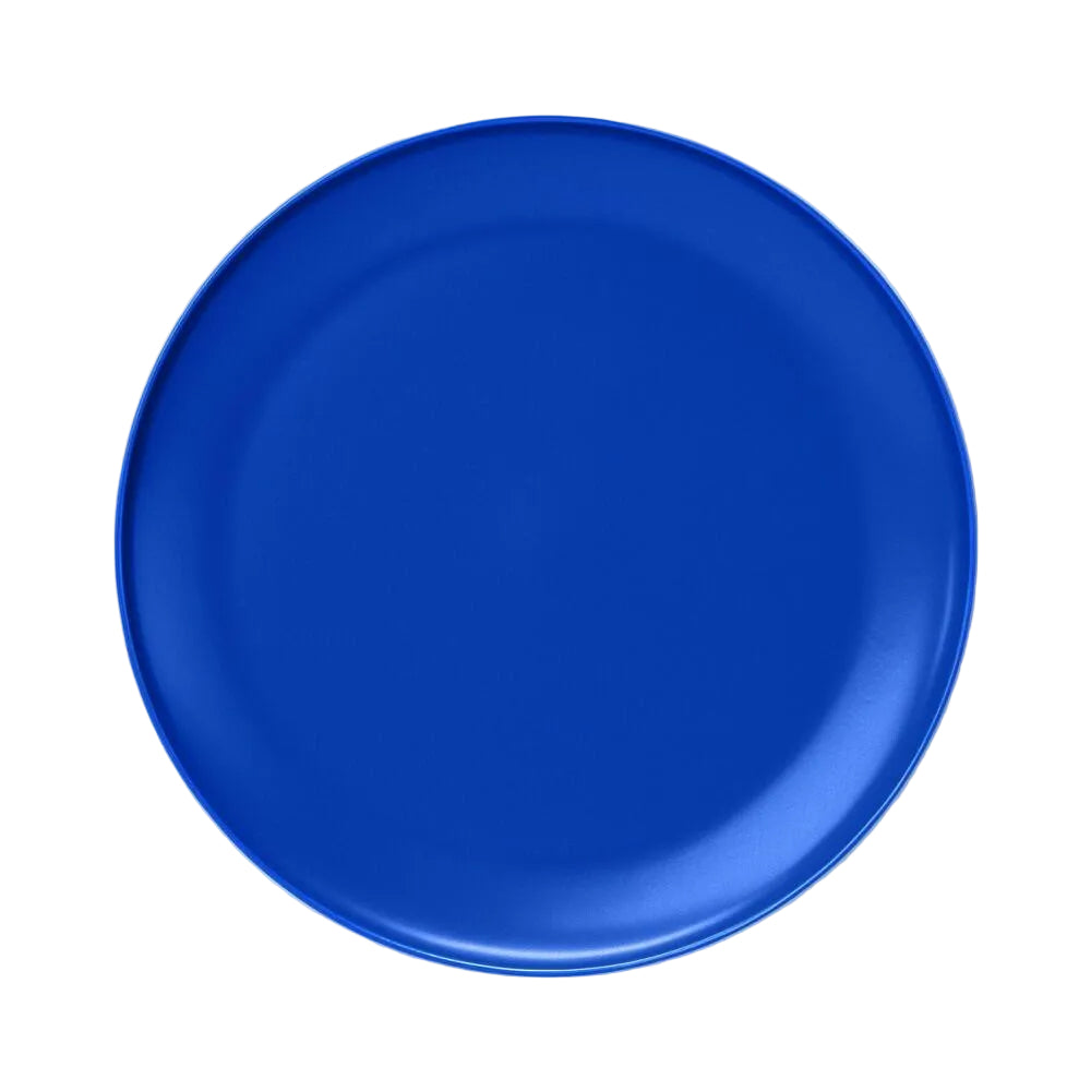 10.5" Plastic Dinner Plate Blue - Room Essentials™