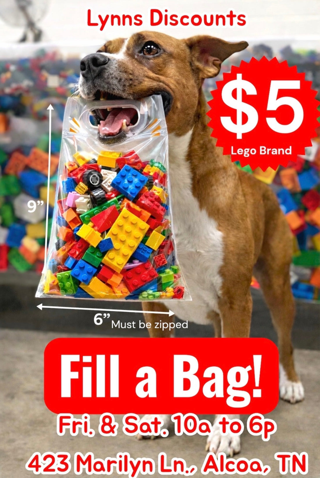 🧱 $5 LEGO FILL-A-BAG 🧱