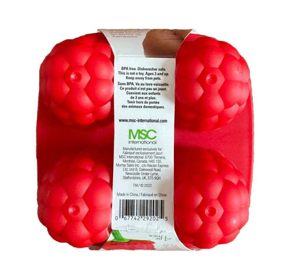 Rasberry Freeze Pops by Joie 4 Freeze Pops BPA Free