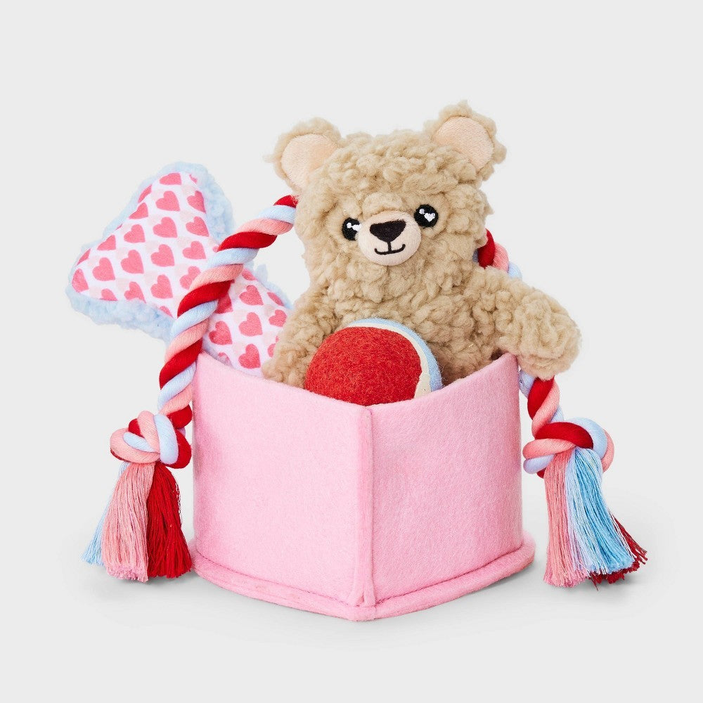 Valentines Gift Pack Dog Rope Plush Toy Set - 5pc
