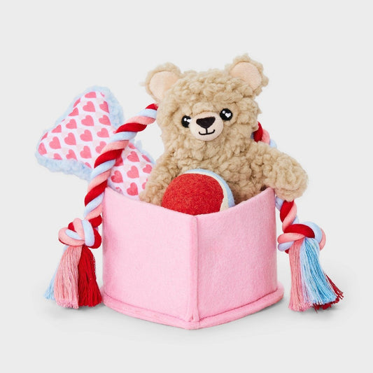 Valentines Gift Pack Dog Rope Plush Toy Set - 5pc