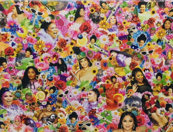 The Legendary Lizzo - 500 Piece Jigsaw Puzzle *Open Box Includes All Pieces*