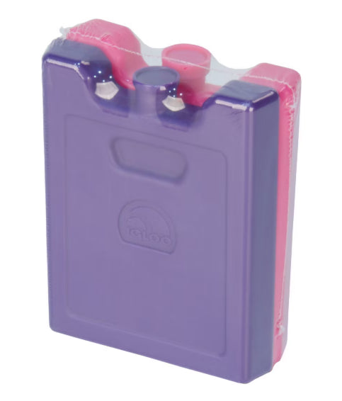 Igloo 2pk Ice Blocks - Pink/Purple