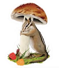 Tattly Chipmunk Sticker Vinyl Restickable