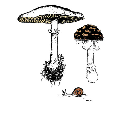 Tattly Fungi Garden Trio Tattoo - Set of 2