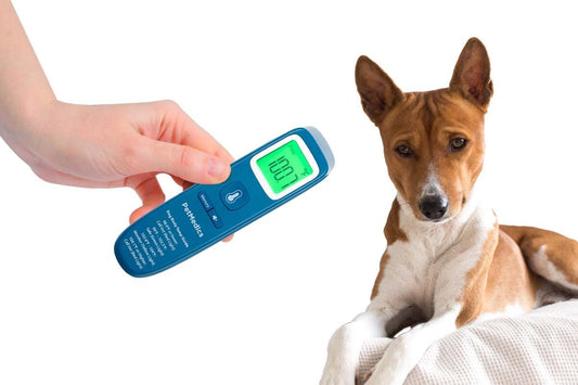 Non-Contact Digital Pet Thermometer for Dogs *Color Chosen At Random*