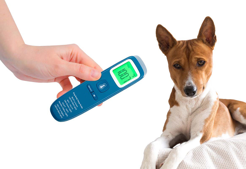 Non-Contact Digital Pet Thermometer for Dogs *Color Chosen At Random*