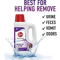 CARPET CLEANER LQU 64OZ