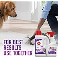 CARPET CLEANER LQU 64OZ