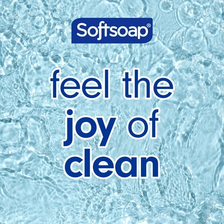 Softsoap Exfoliating Body Wash, All Skin Types, Coconut Butter, 20 fl oz Bottle