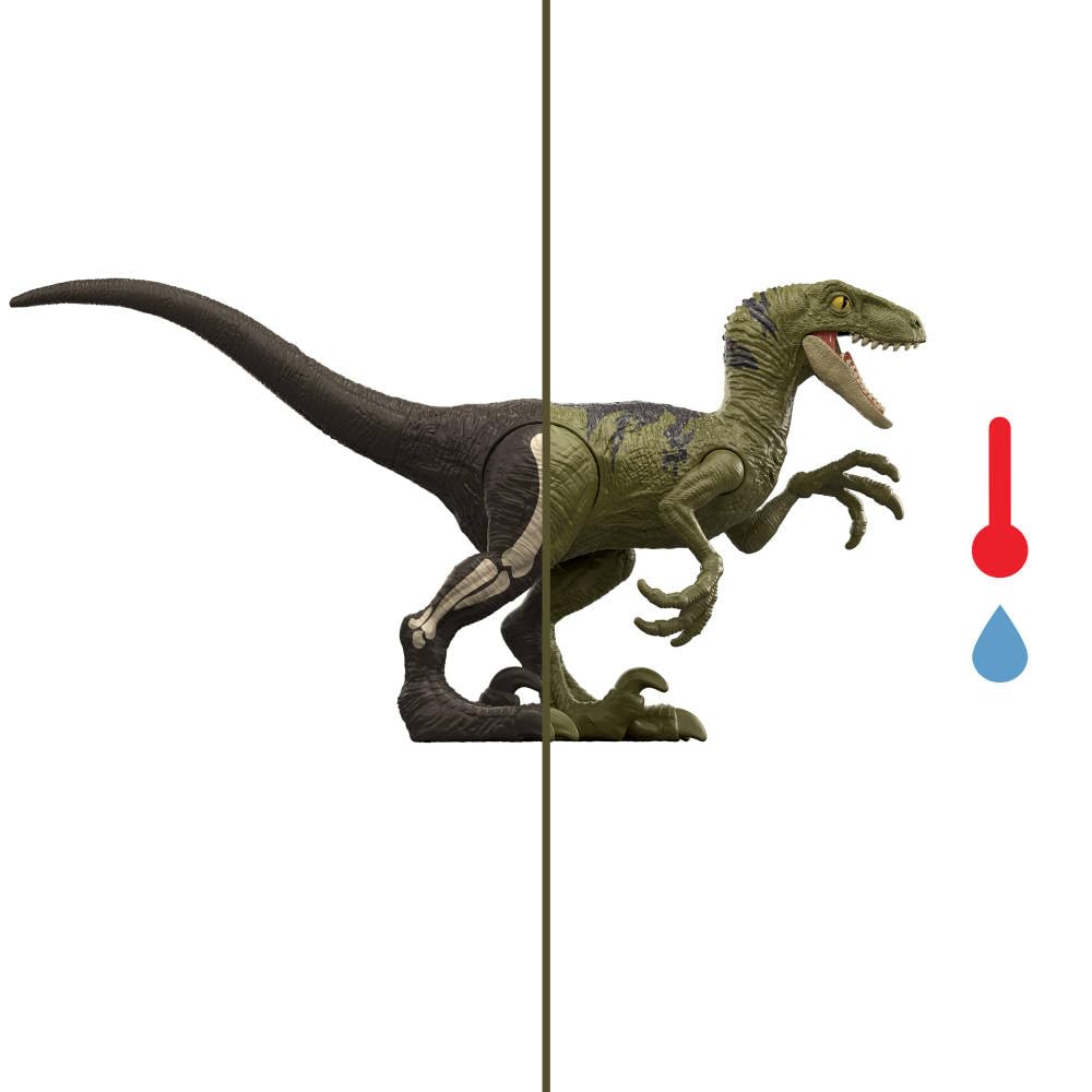 Mattel Jurassic World Dino Reveal Dinosaur Toy (Species Vary)