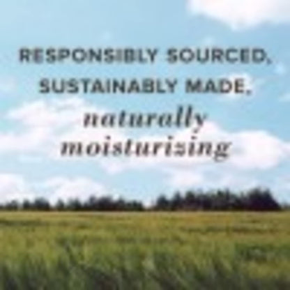 Burt's Bees 100% Natural Moisturizing Lip Balm