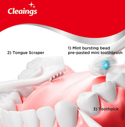 Cleaings Disposable Mini Toothbrushes with Toothpaste & Toothpick 24 ct