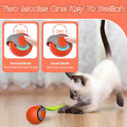 Speedy Self-Rolling Cat Toy, Orange