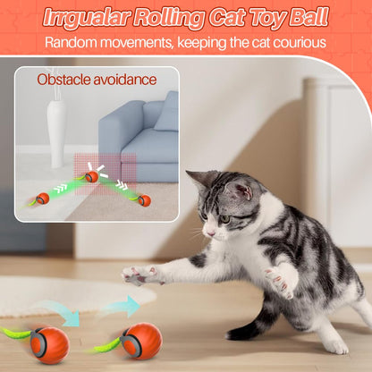 Speedy Self-Rolling Cat Toy, Orange