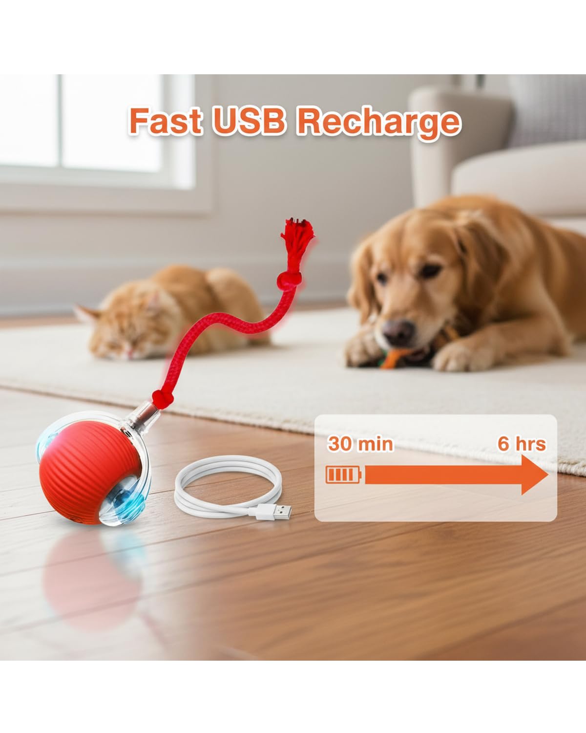 Ipawsplus Interactive Rolling & Bouncing Pet Toy Ball, Red