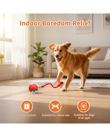 Ipawsplus Interactive Rolling & Bouncing Pet Toy Ball, Red