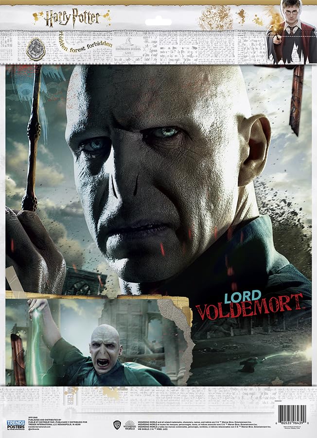 11X14 2 Poster Pack - Harry Potter Poster 2 Pack