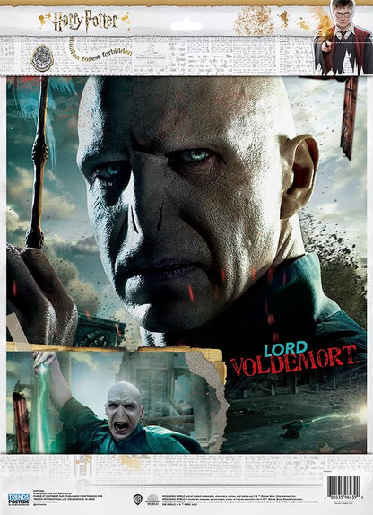 11X14 2 Poster Pack - Harry Potter Poster 2 Pack