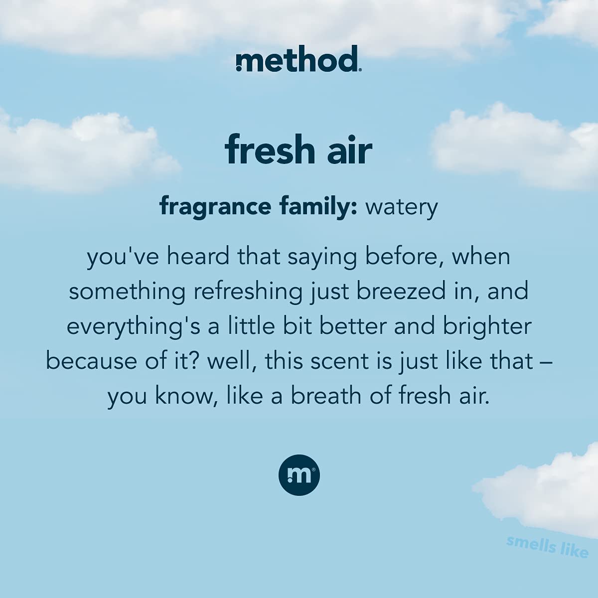 Method Liquid Laundry Detergent