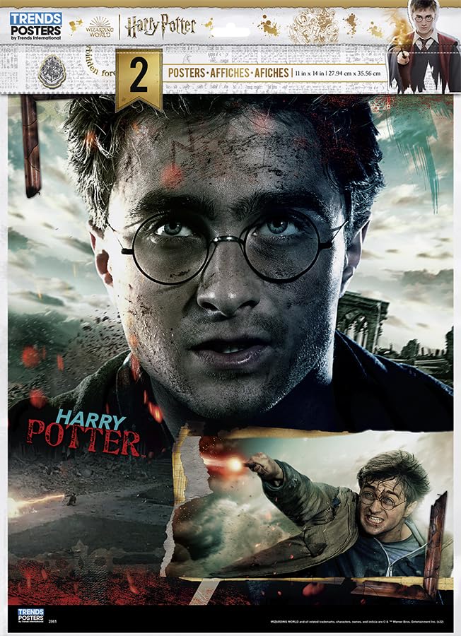 11X14 2 Poster Pack - Harry Potter Poster 2 Pack