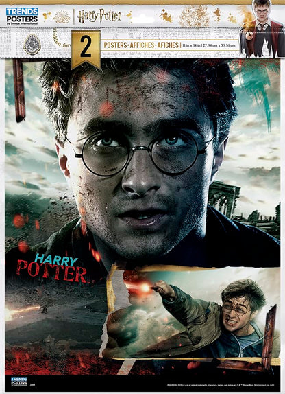 11X14 2 Poster Pack - Harry Potter Poster 2 Pack