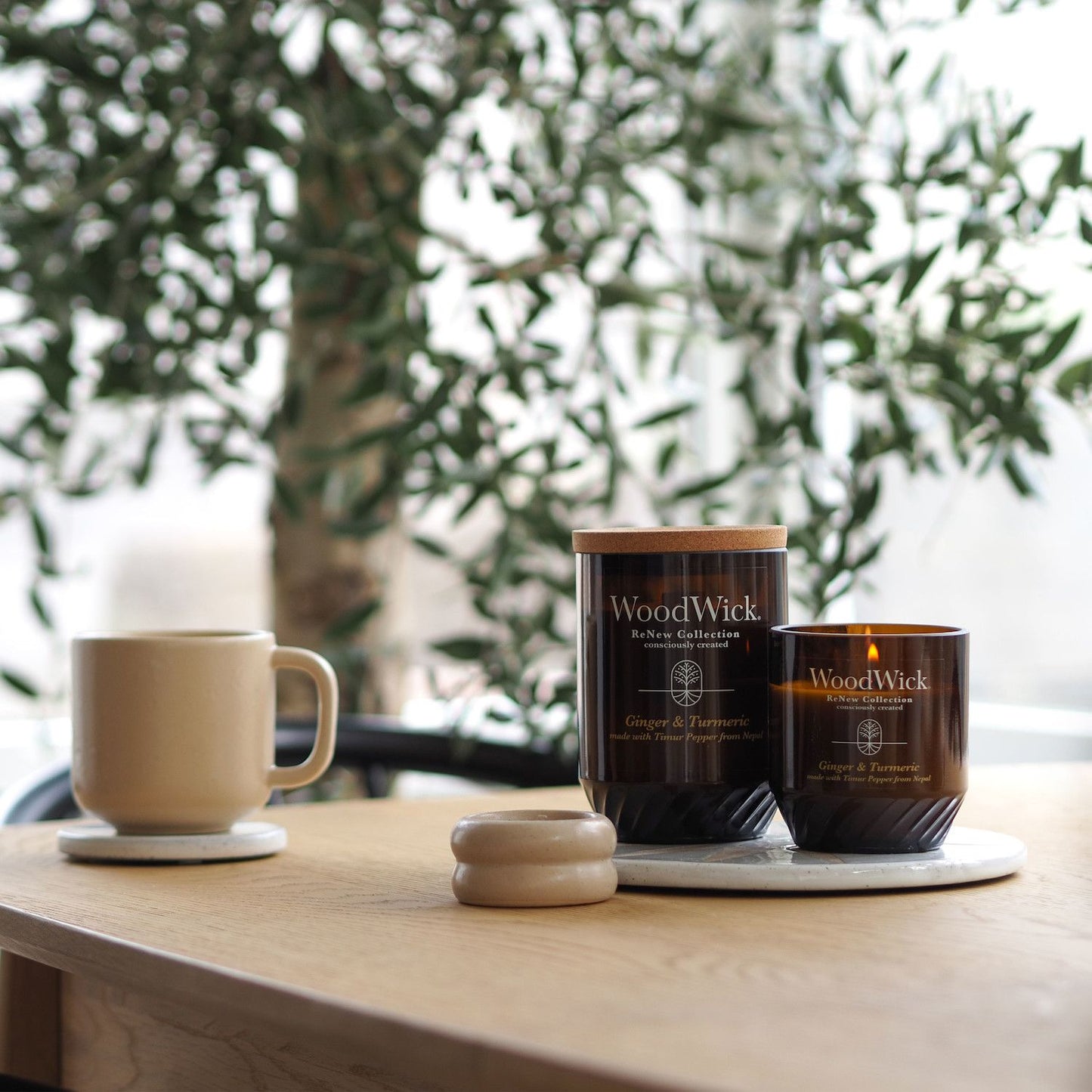 WoodWick  ReNew Ginger & Turmeric Large Jar Candle