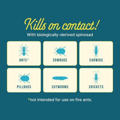 Bug & Ant Killer - 2Lbs