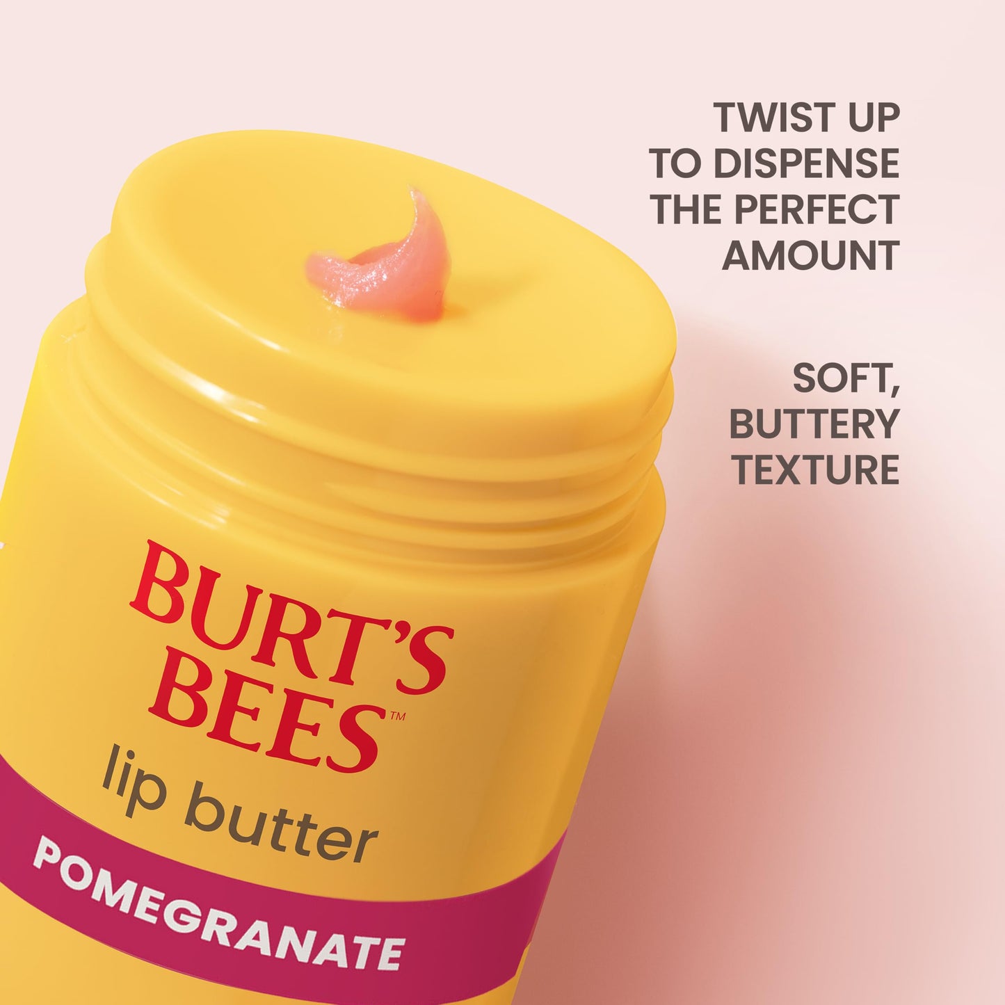 Burt's Bees Pomegranate Repairing Lip Butter