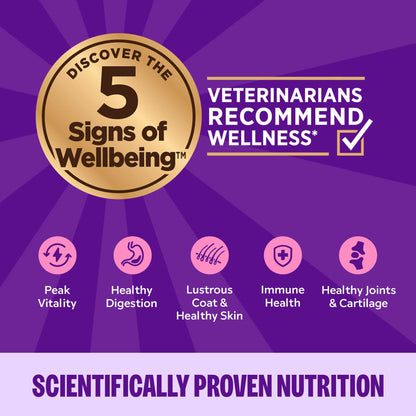 Wellness Complete Health Adult Cat Food Turkey 3oz 24pk (Best By 12/09/2027)