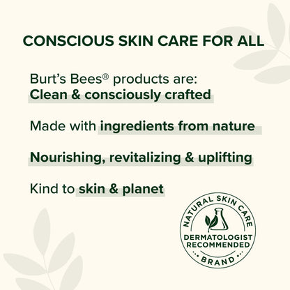 Burt's Bees Lip Balm, Beeswax