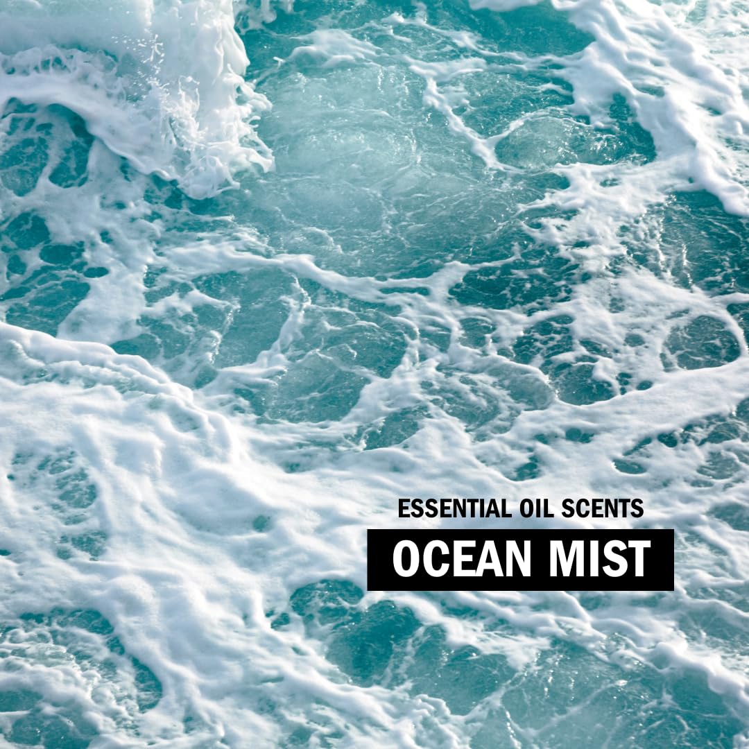 Molly's Suds HE Detergent Ocean Mist 200 Loads