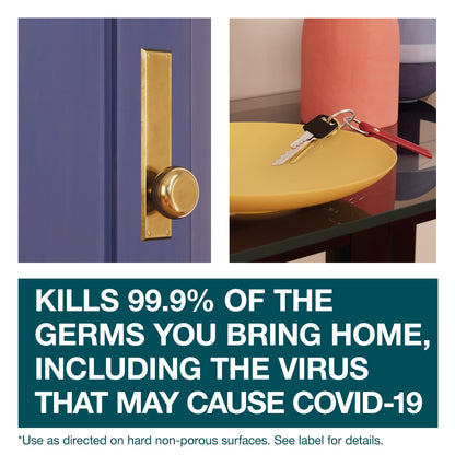 FamilyGuard Brand Disinfe Countant Spray