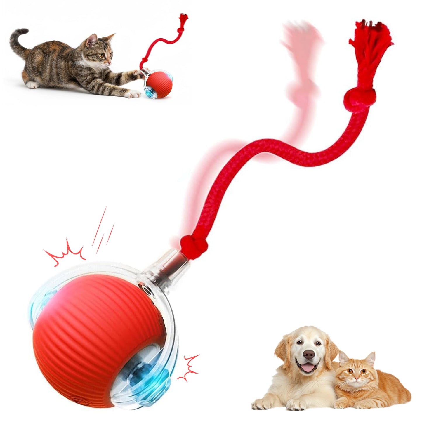 Ipawsplus Interactive Rolling & Bouncing Pet Toy Ball, Red